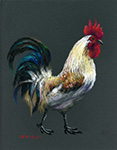 A Lucky Rooster 02_sketched by Lai Ying-Tse  金雞報喜